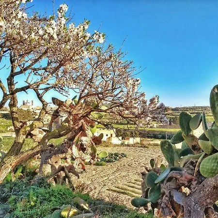 Bed & Breakfast Mandolina Holidays